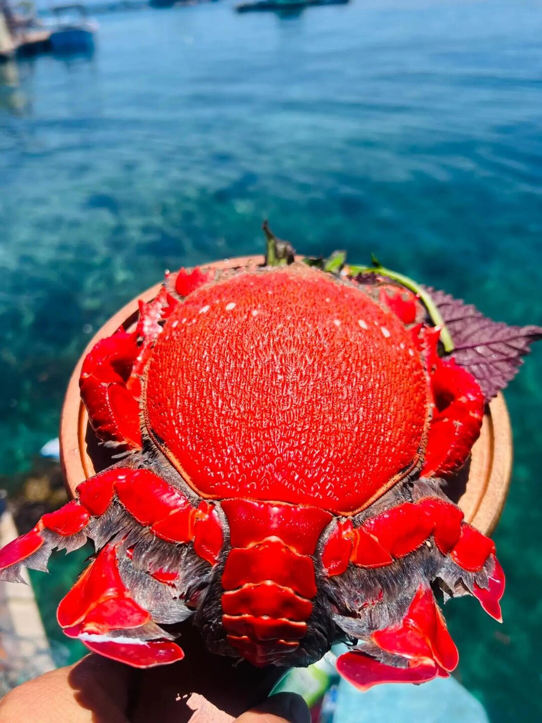 Lồng Bè Hồng Phát