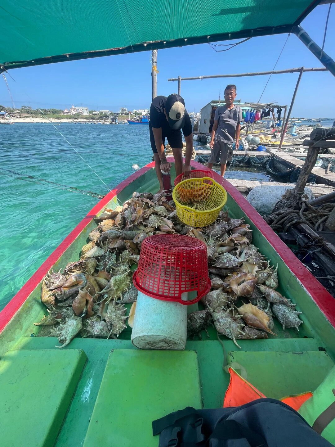Lồng Bè Hồng Phát