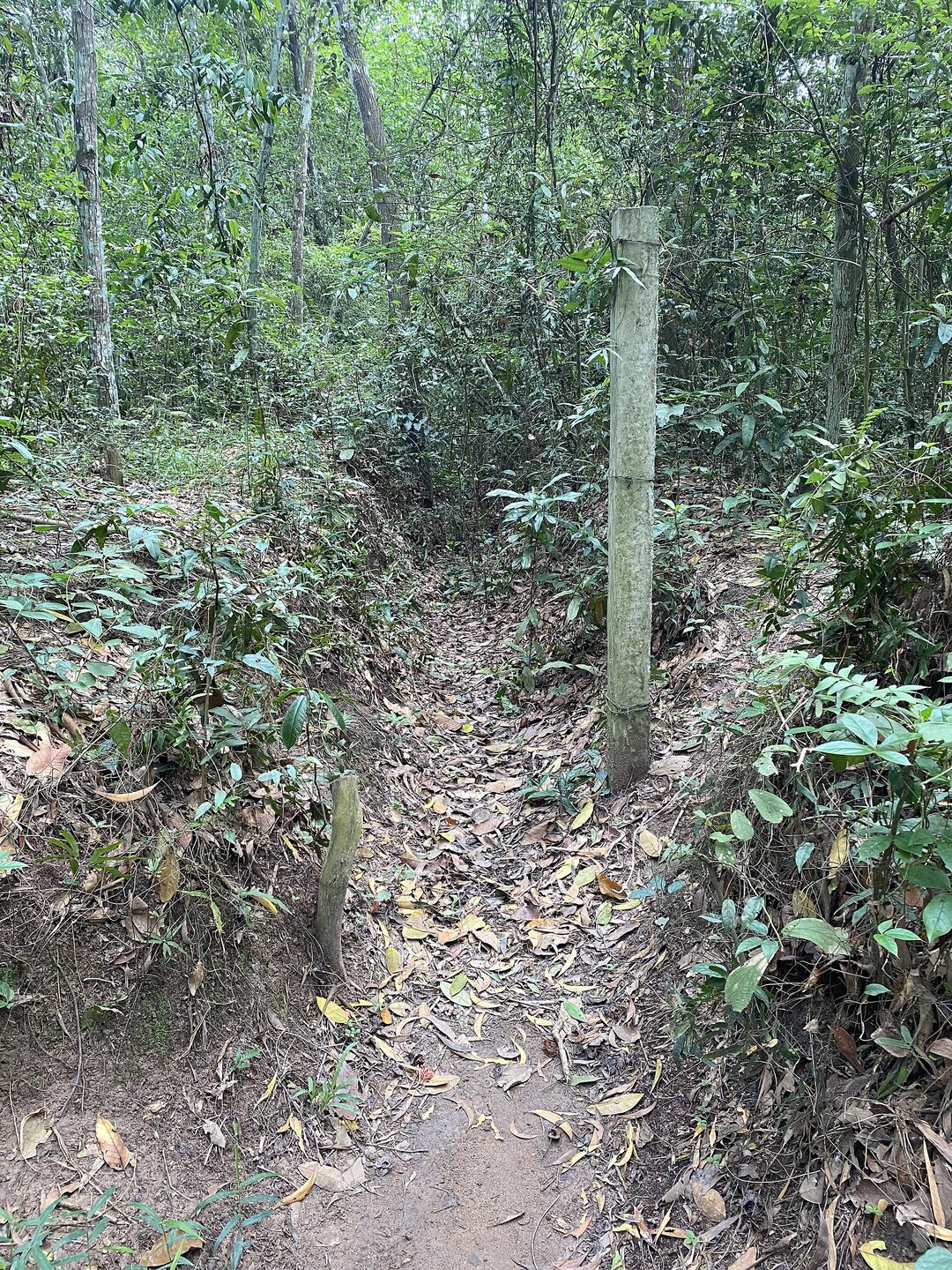 Cu Chi Tunnels