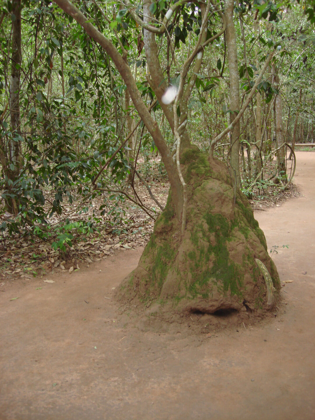 Cu Chi Tunnels