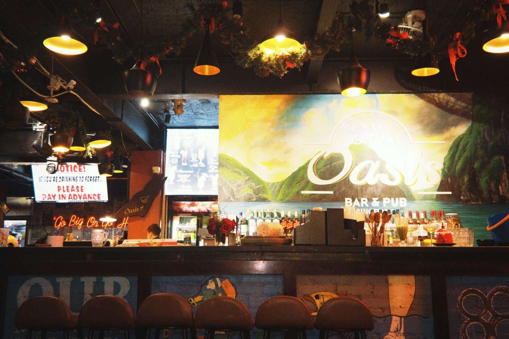 Cat Ba Oasis Bar & Restaurant