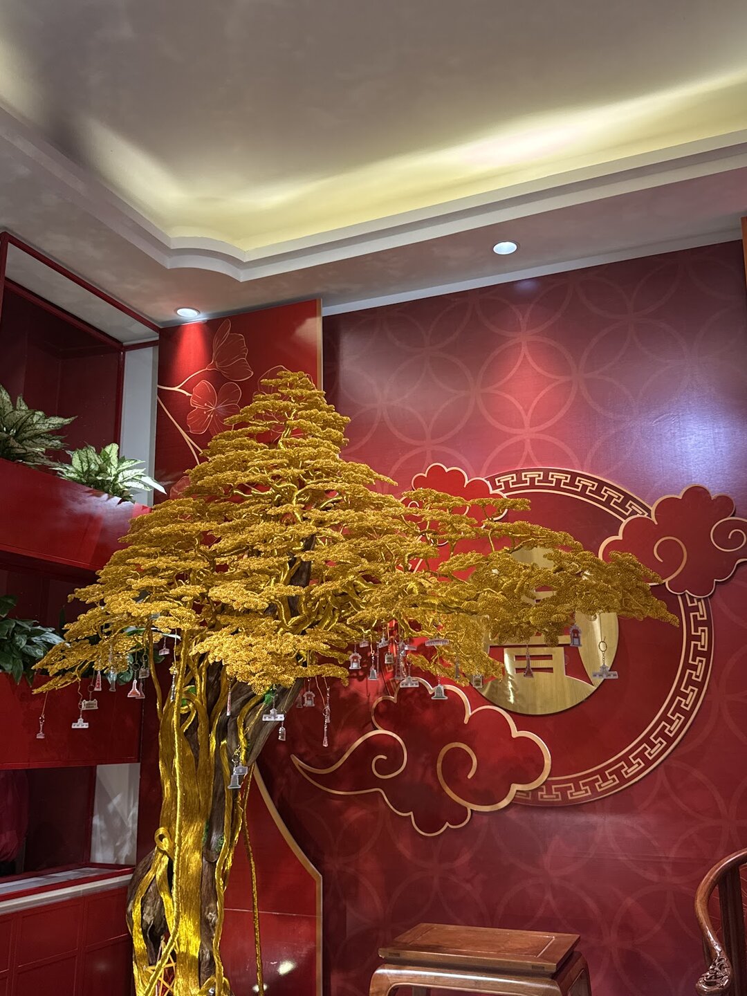 Cung Hy Phat Tai