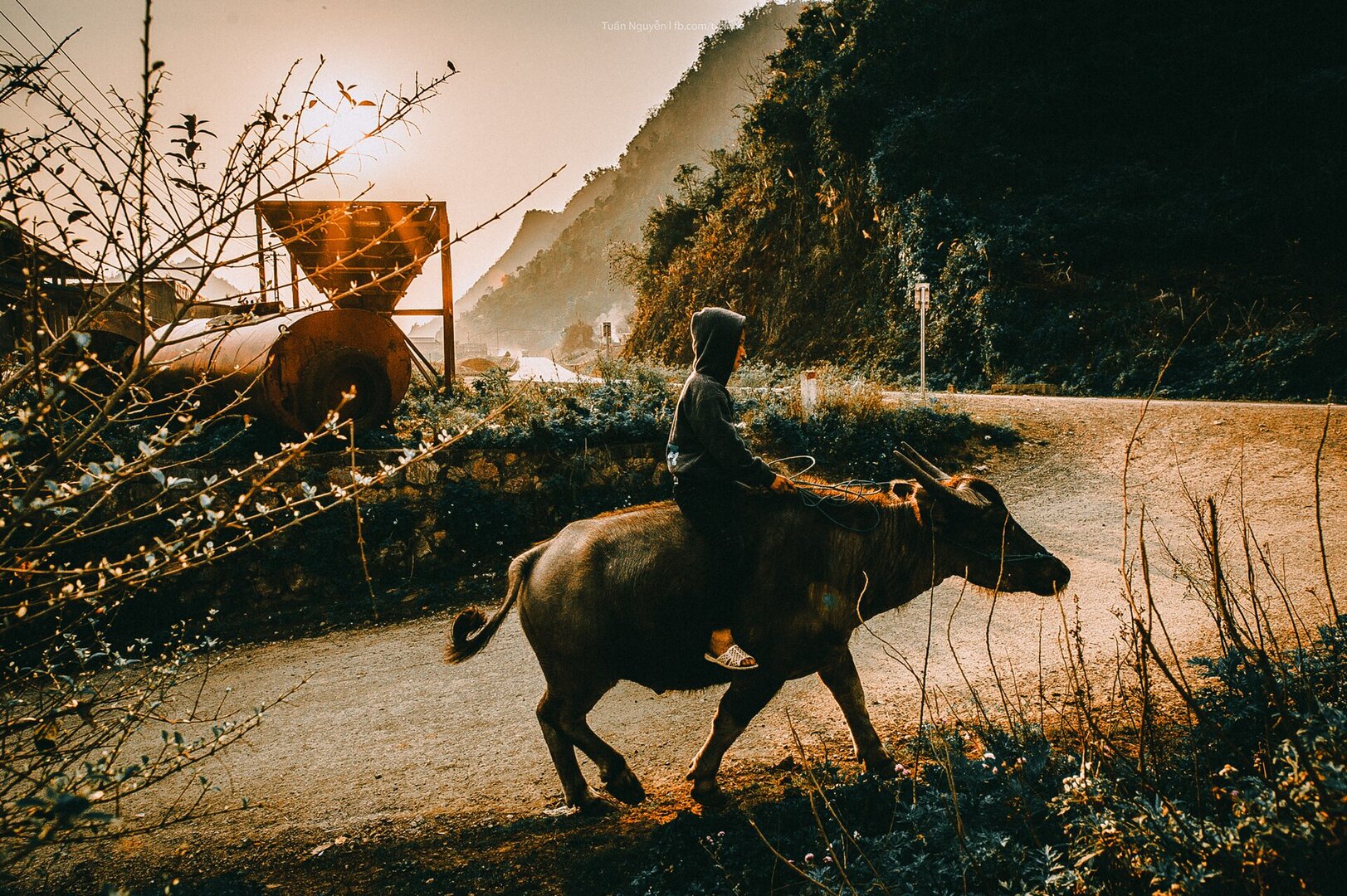 Cao nguyên Mộc Châu