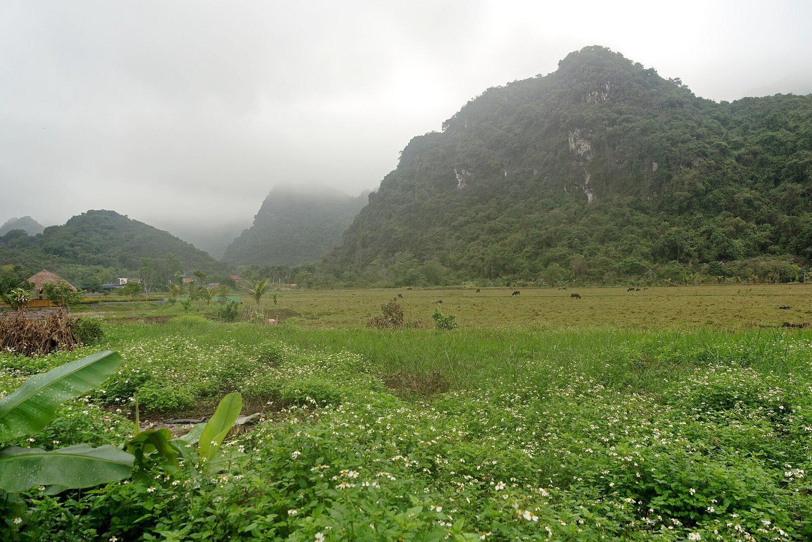 Viet Hai Village