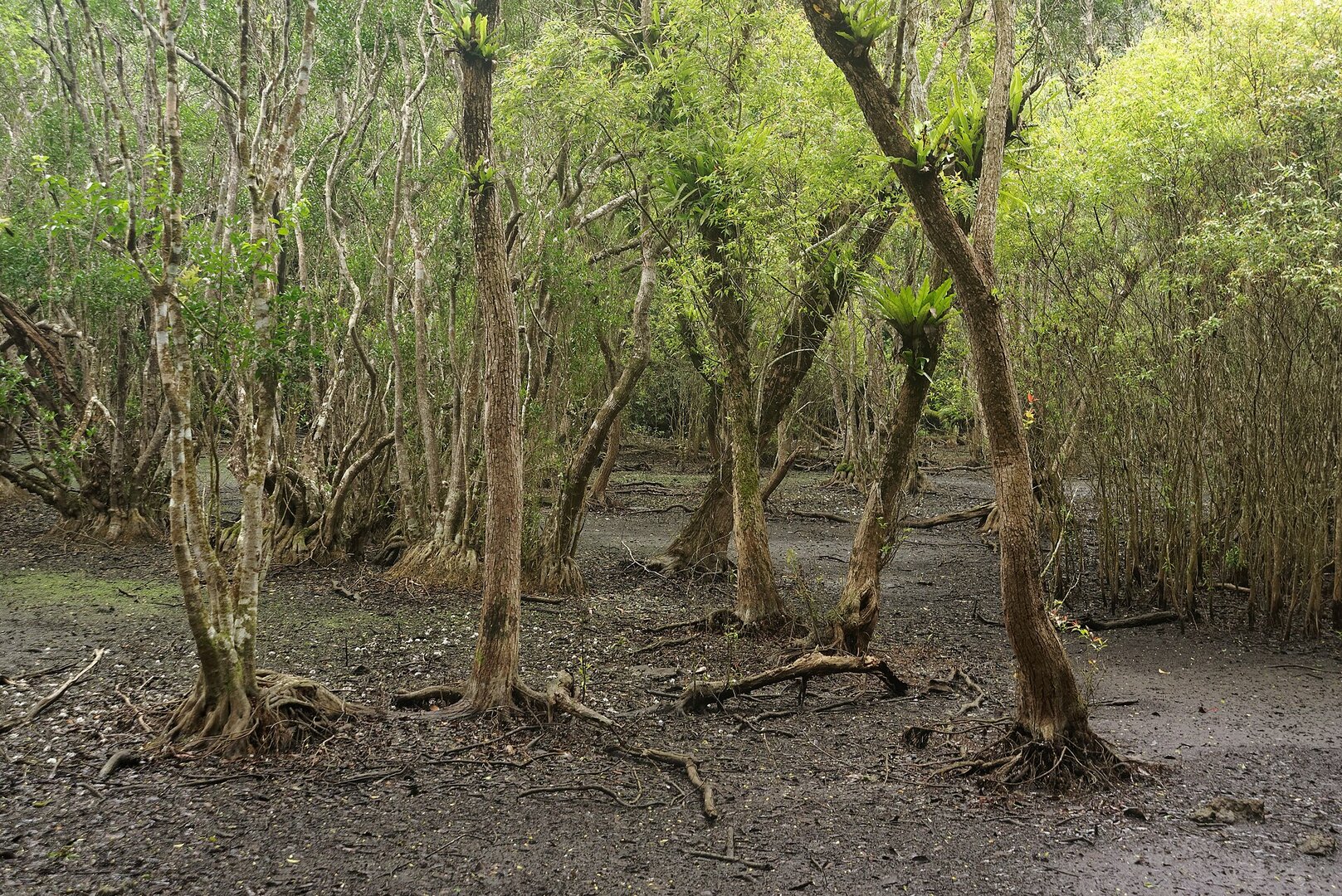Viet Hai Village