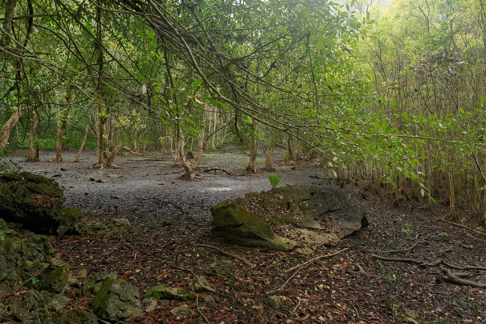 Viet Hai Village