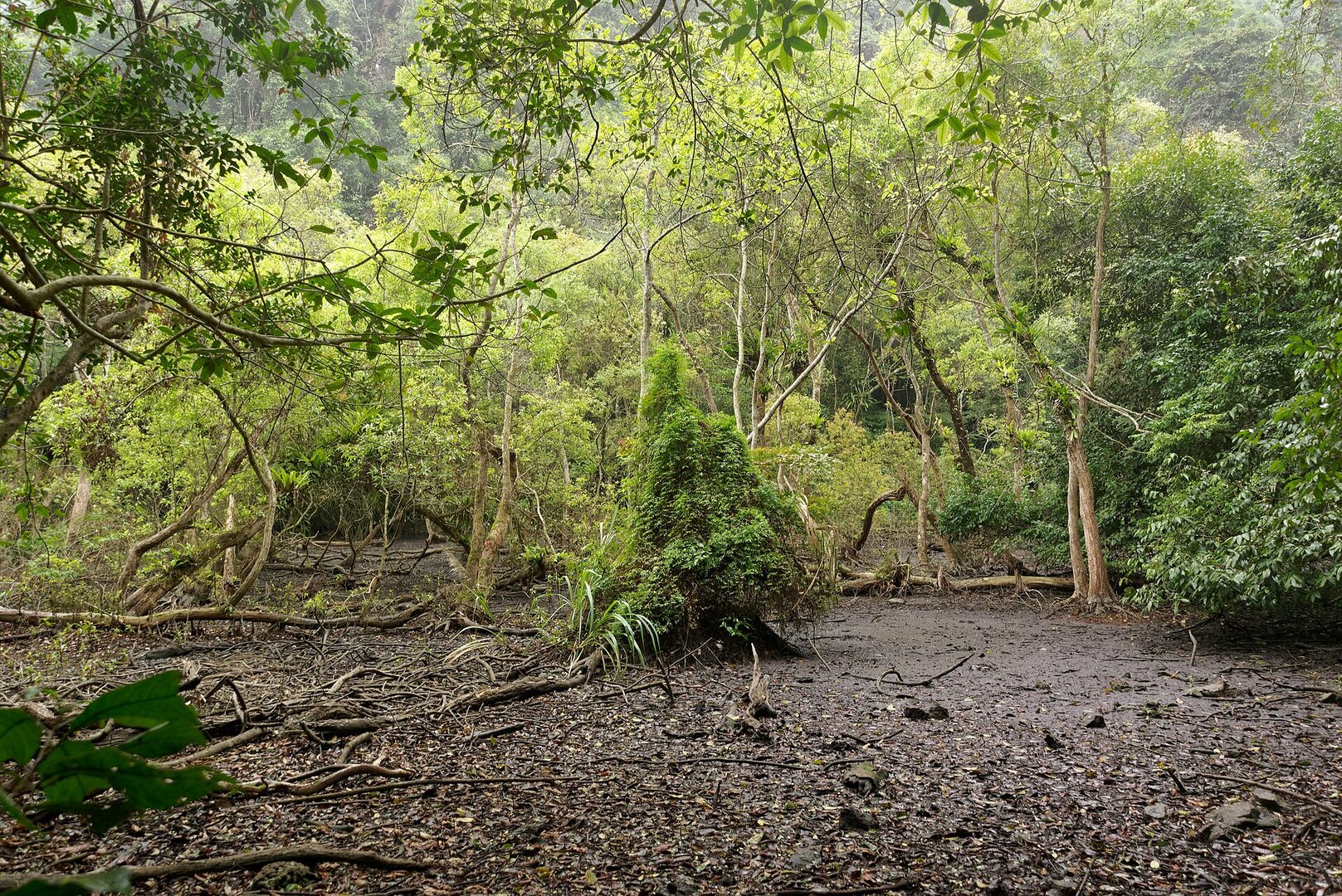 Viet Hai Village