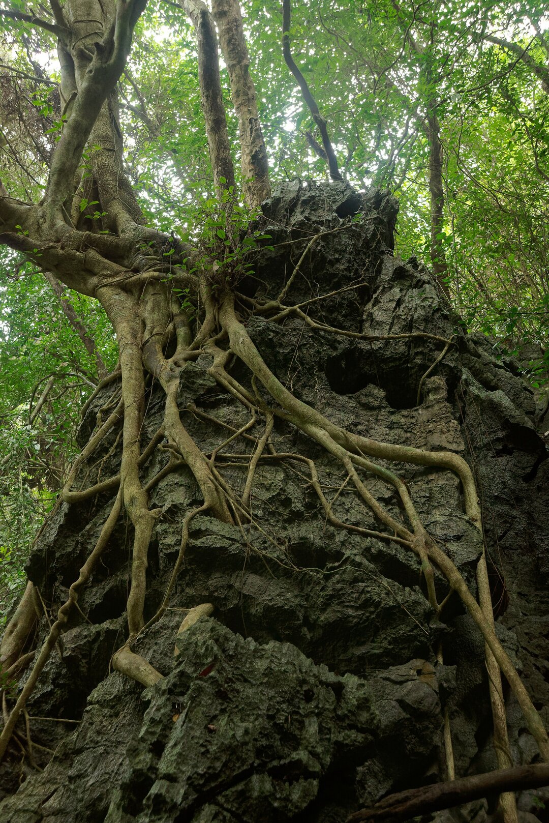 Viet Hai Village
