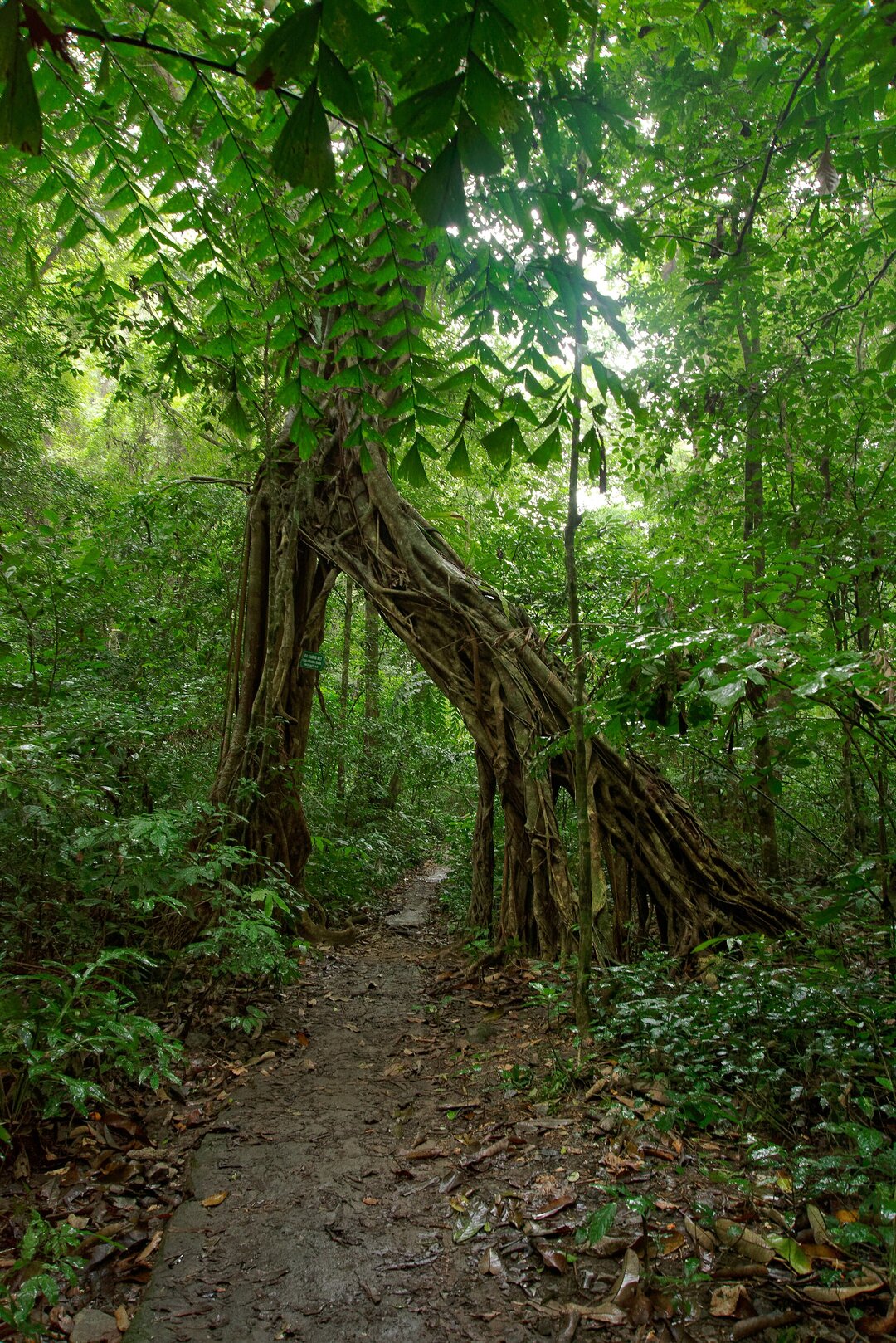 Viet Hai Village