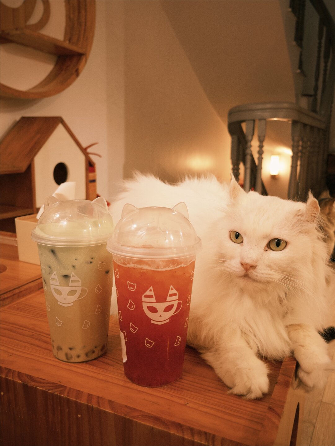 Bastet’s Home