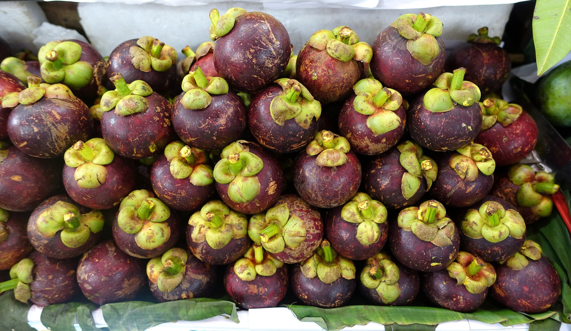 Ben Thanh Market