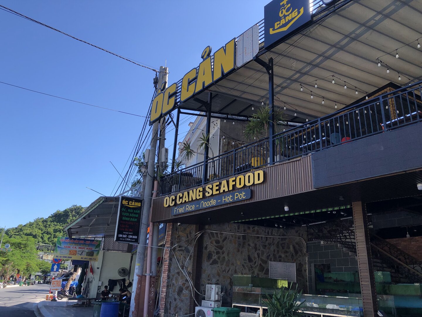 Ốc Cảng Cát Bà