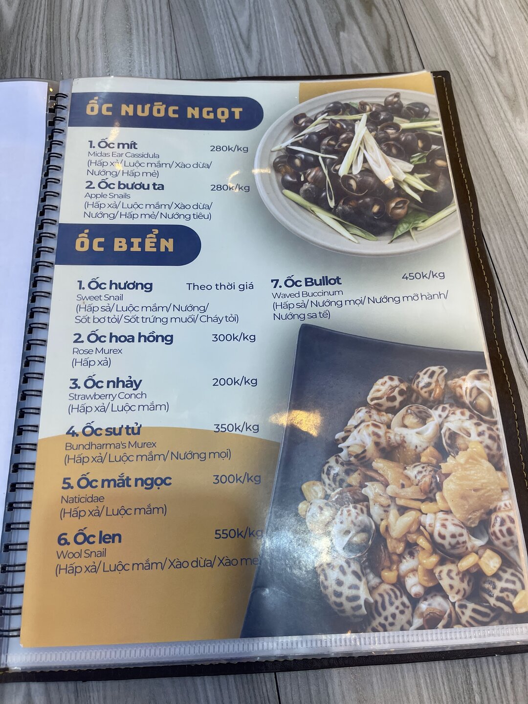Ốc Cảng Cát Bà