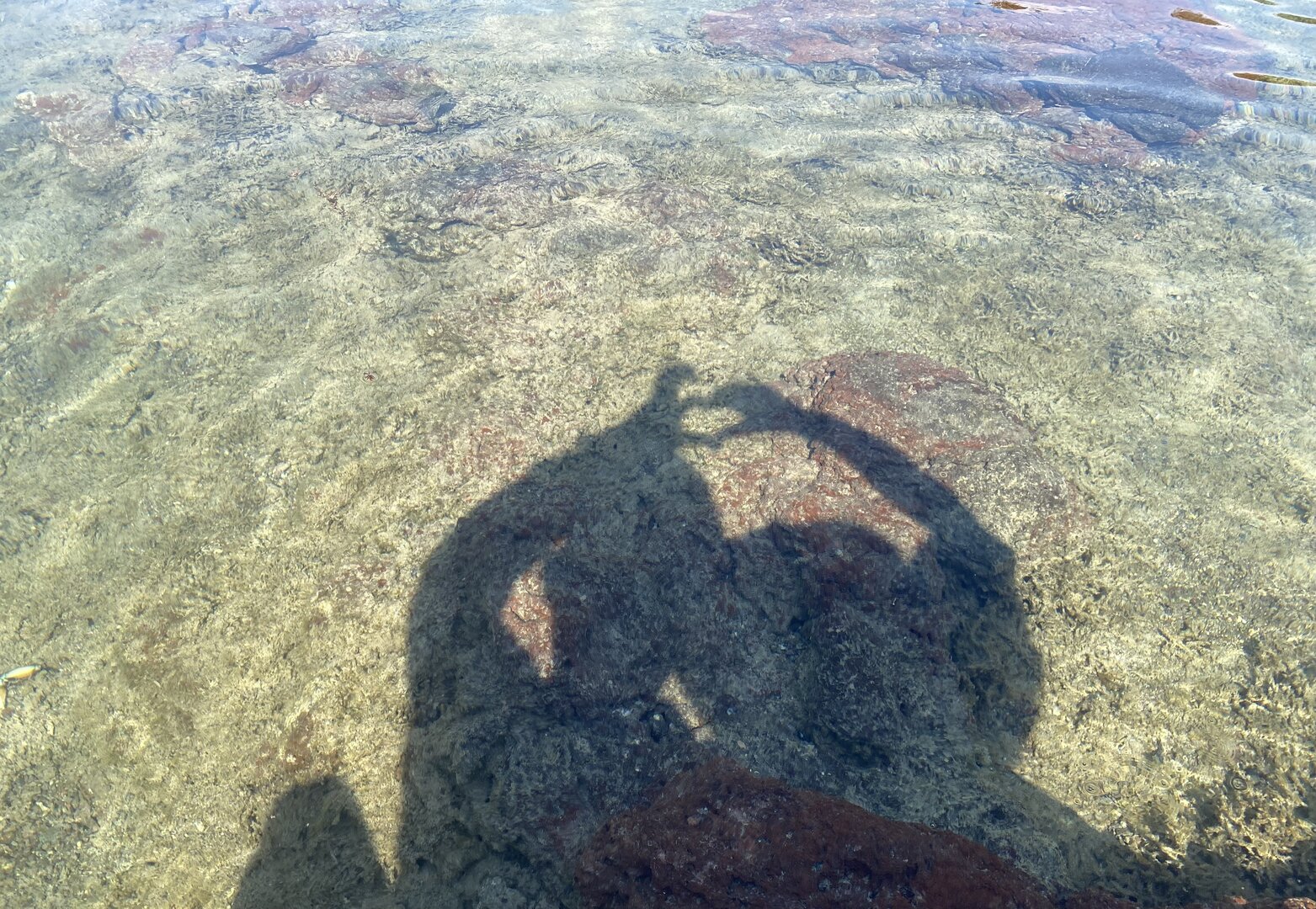 Tranh Island - Phu Quy Island