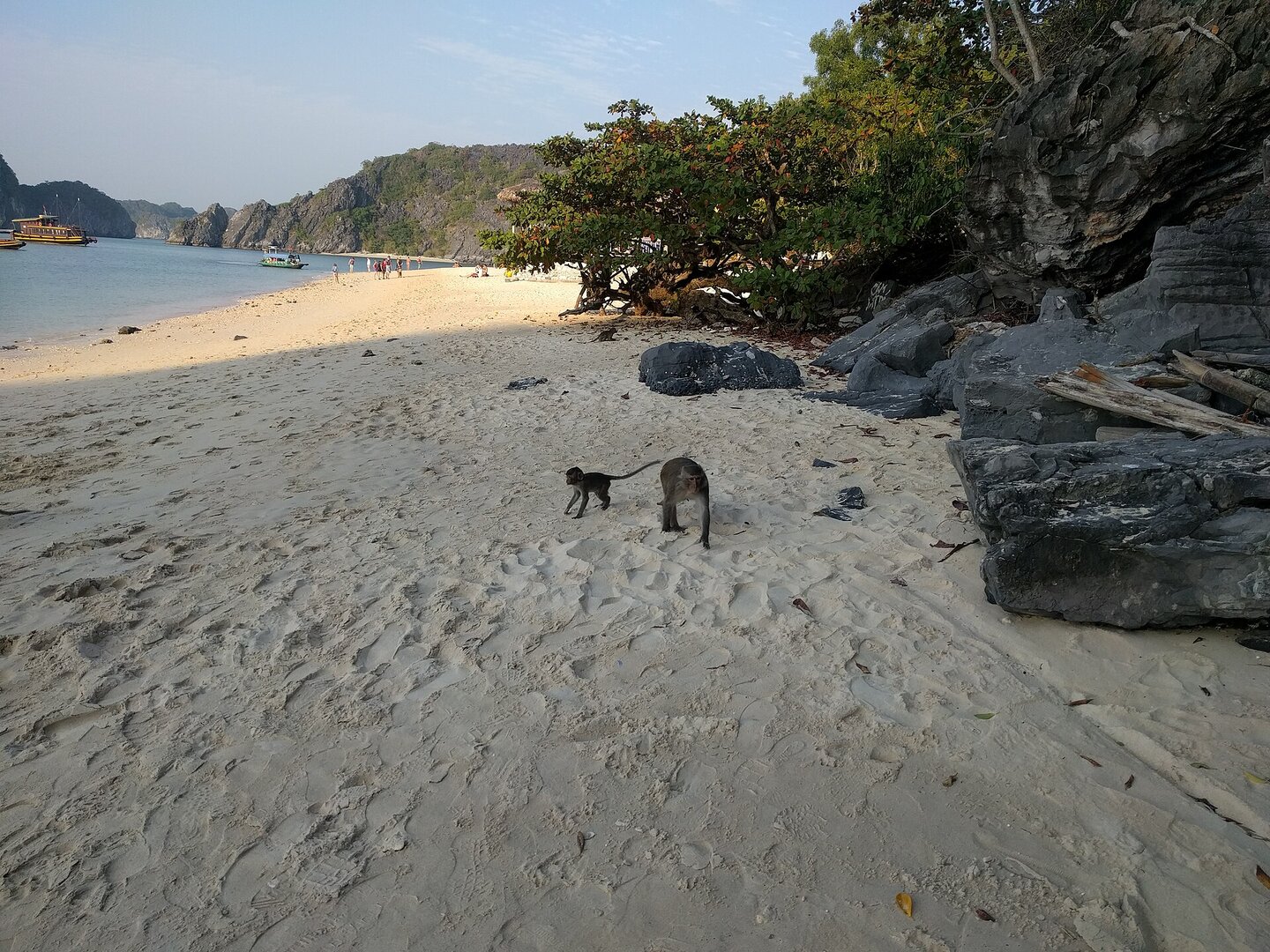 Lan Ha Bay