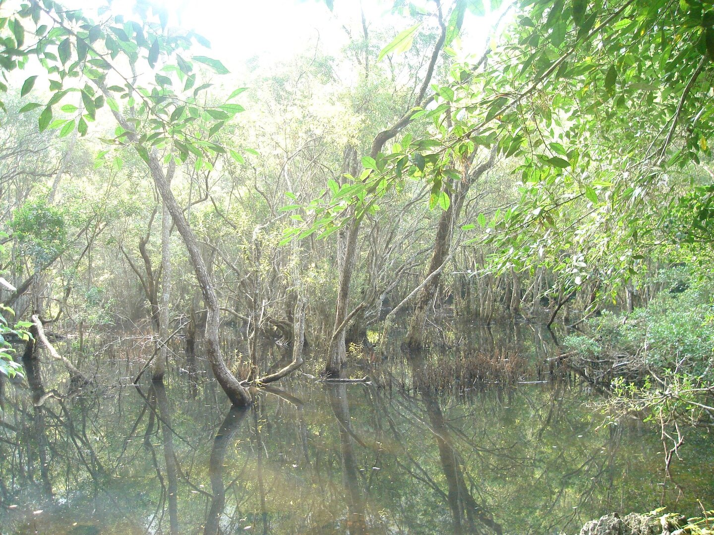Cat Ba National Park