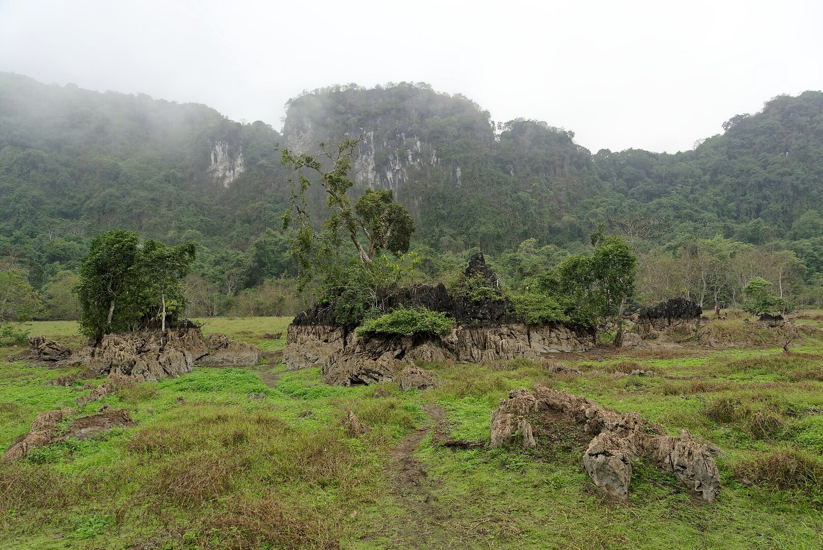 Cat Ba National Park