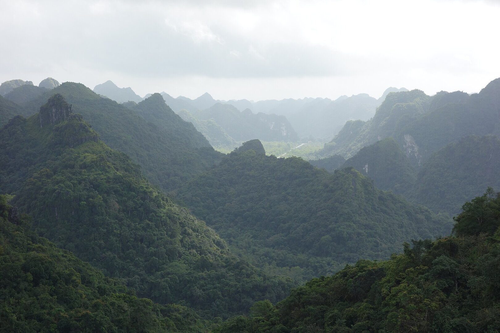 Cat Ba National Park