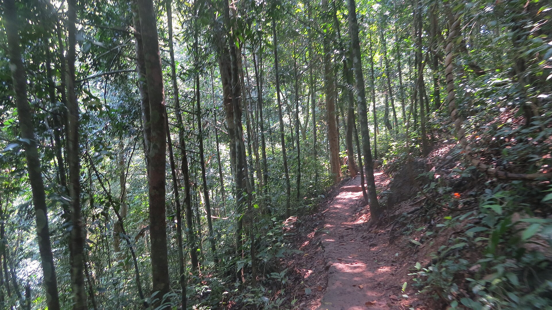 Cat Ba National Park