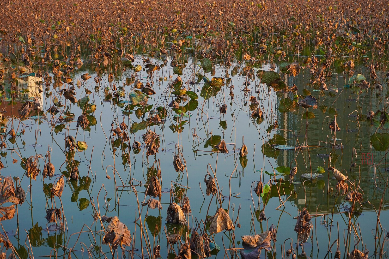 West Lake