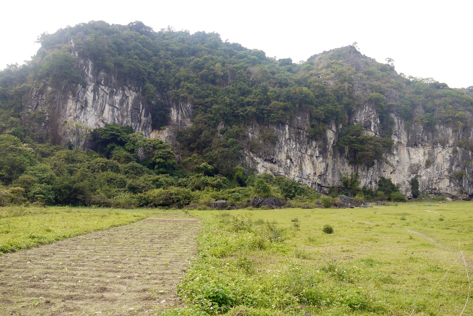 Butterfly Valley