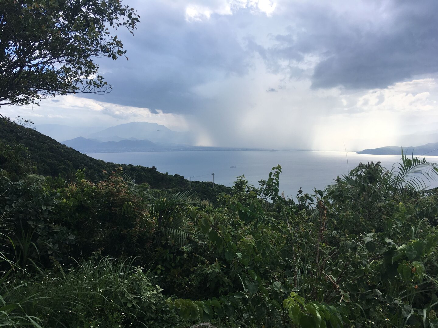 Bán đảo Sơn Trà