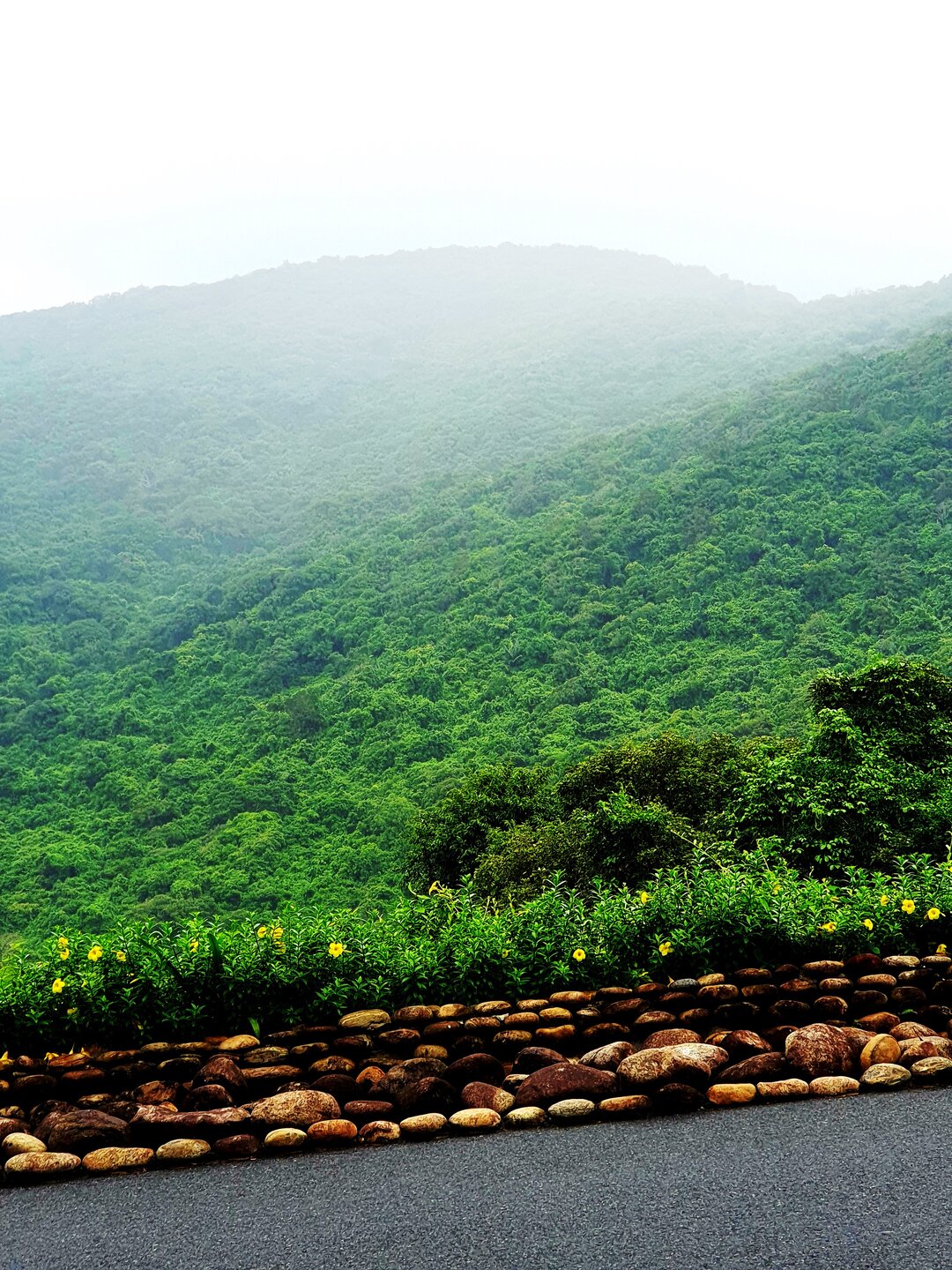 Bán đảo Sơn Trà