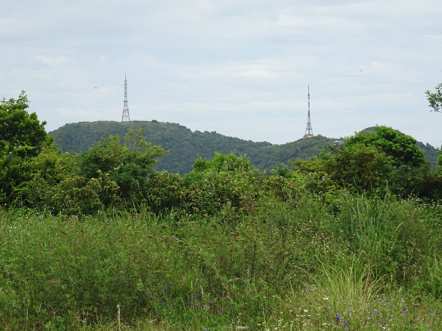 Bán đảo Sơn Trà