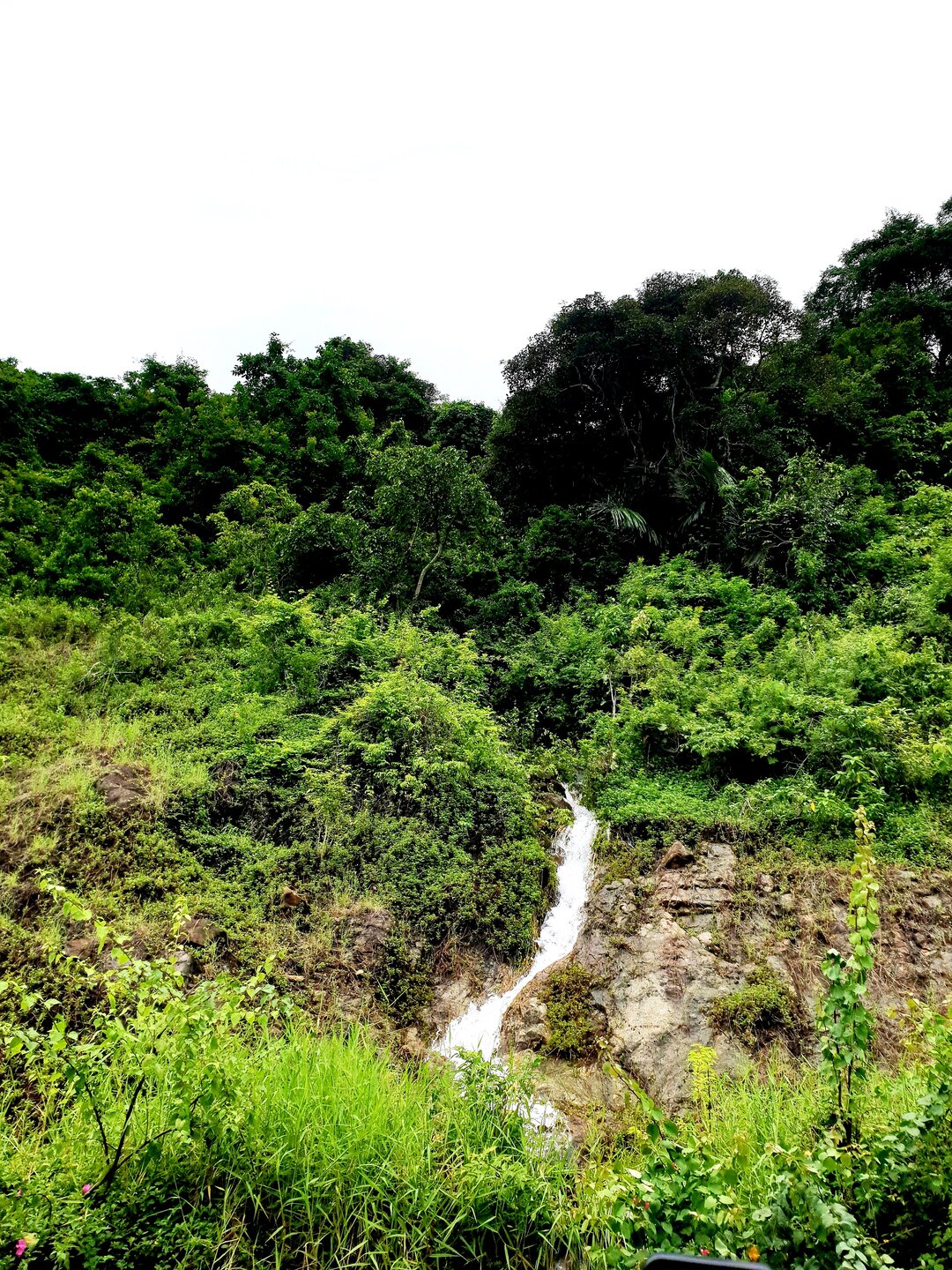 Bán đảo Sơn Trà