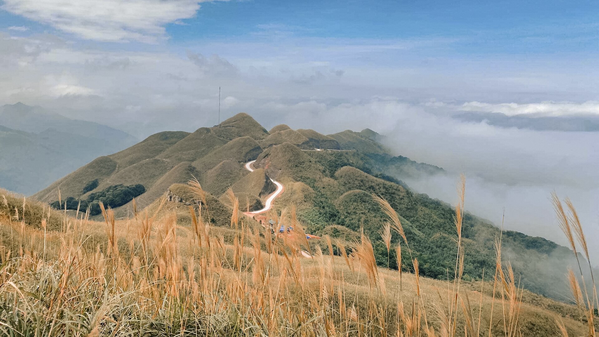 Bông cỏ lau vàng nâu phủ sườn đồi Bình Liêu, con đường biên giới uốn lượn qua dãy núi trọc giữa biển mây.