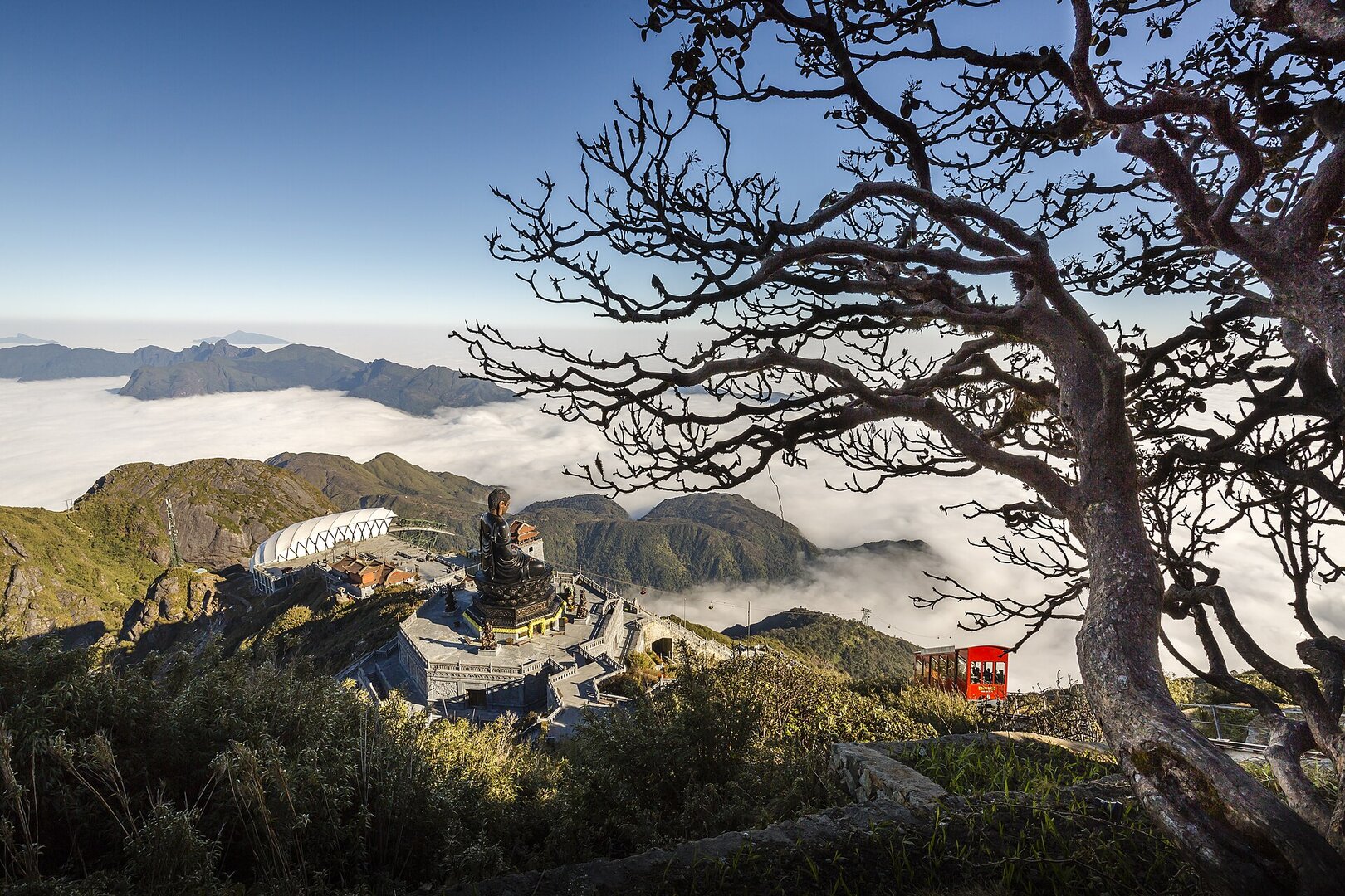A white sea of clouds filling the valleys below Fansipan summit, framed by a bare tree beside the summit's spiritual complex and cable-car station.