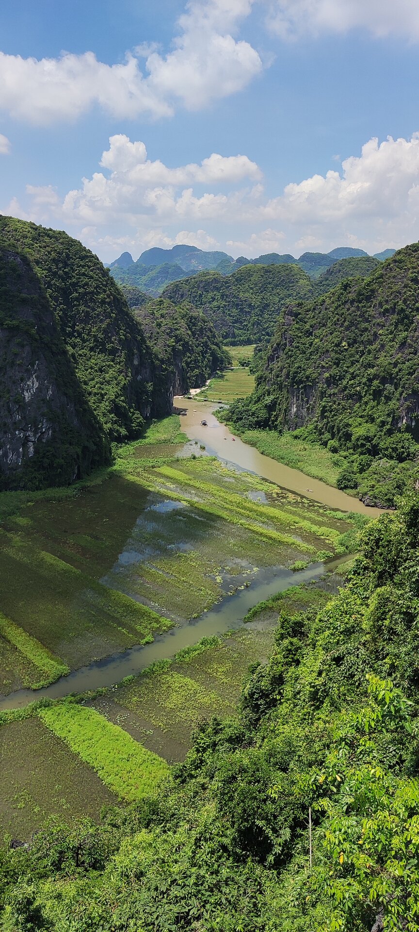 Thung lũng Tam Cốc nhìn từ Hang Múa, sông Ngô Đồng uốn qua những thửa lúa xanh giữa hai vách núi đá vôi.
