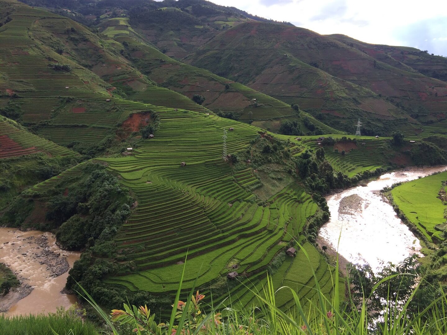 Ruộng bậc thang xanh mướt ôm sườn đồi ở xã Khao Mang, Mù Cang Chải, bên dòng suối đục phù sa.